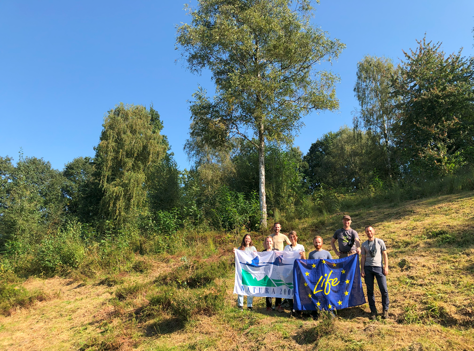 Prairie sur sable, équipes des LIFE Harwin, LIFE GreenValleys et LIFE Vallées Atlantiques © Dennis DE RYCK